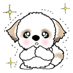 [LINEスタンプ] 【大きめ文字】シーズー犬の日常 Vol.3